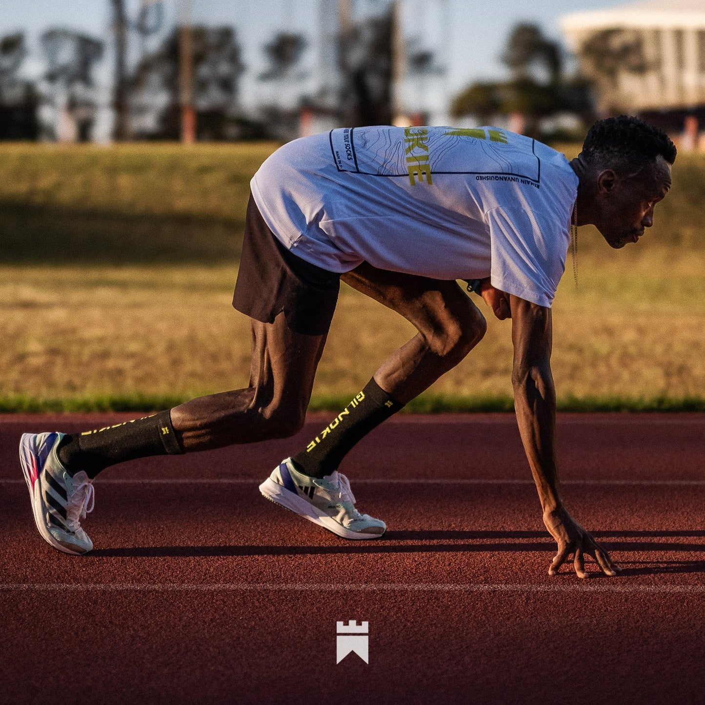 Gilnokie HighViz - Crew Height Socks (2 Colours)